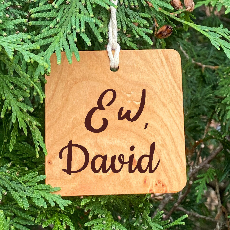 Schitt's Creek Inspired Ornament - Ew, David