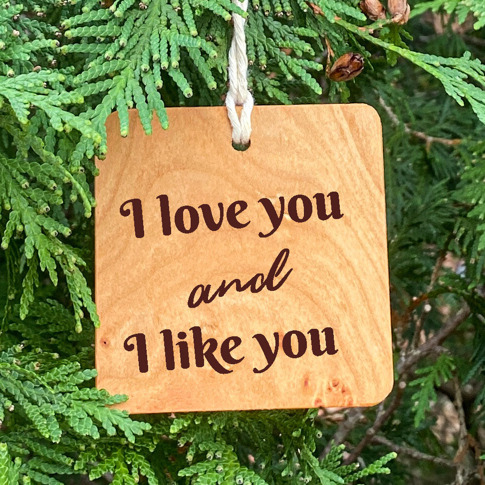 I love you and I like you ornament on pine tree background