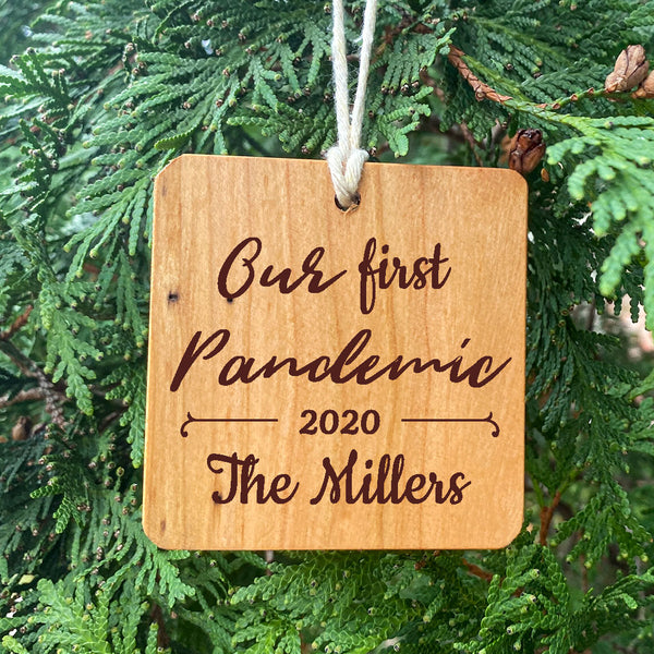 Our First Pandemic 2020 Ornament on Pine Tree